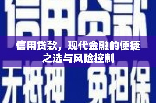 且末信用贷款，现代金融的便捷之选与风险控制