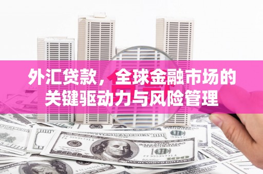 且末外汇贷款，全球金融市场的关键驱动力与风险管理