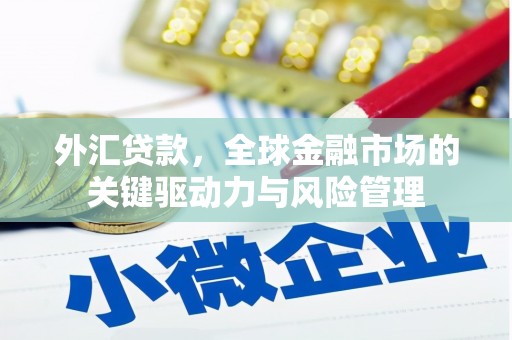 且末外汇贷款，全球金融市场的关键驱动力与风险管理