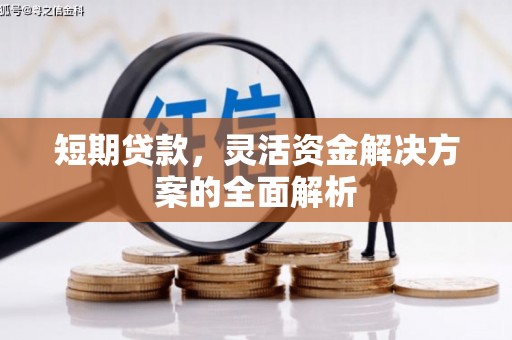 且末短期贷款，灵活资金解决方案的全面解析
