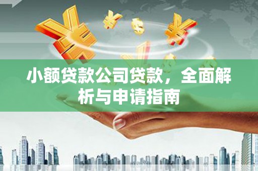 且末小额贷款公司贷款，全面解析与申请指南