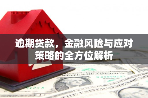 且末逾期贷款，金融风险与应对策略的全方位解析