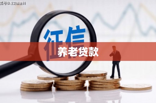 且末养老贷款
