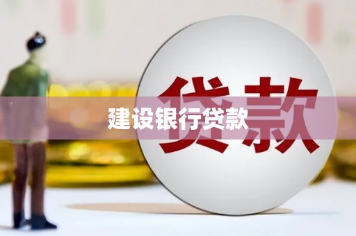 且末建设银行贷款