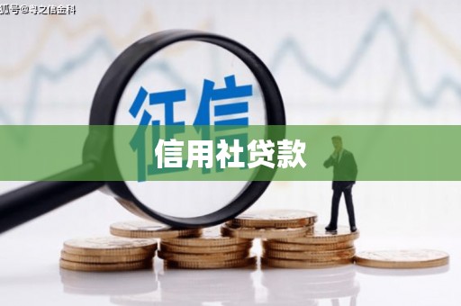 且末信用社贷款