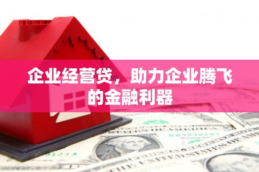且末企业经营贷，助力企业腾飞的金融利器