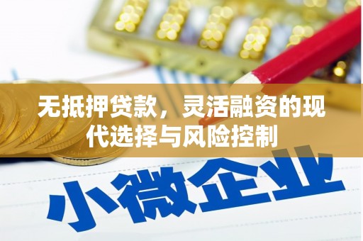 且末无抵押贷款，灵活融资的现代选择与风险控制