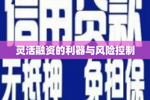且末灵活融资的利器与风险控制