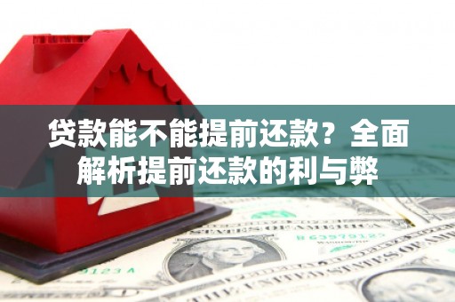 且末贷款能不能提前还款？全面解析提前还款的利与弊