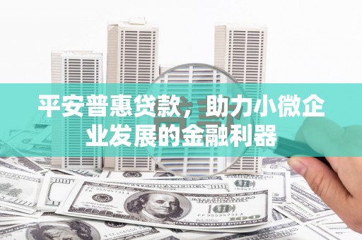 且末平安普惠贷款，助力小微企业发展的金融利器
