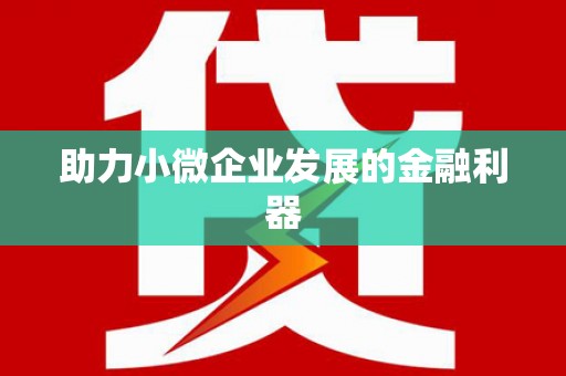 且末助力小微企业发展的金融利器