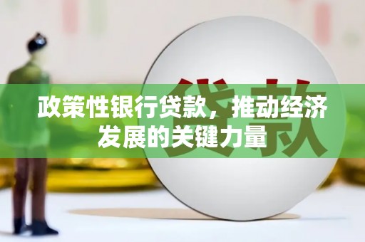 且末政策性银行贷款，推动经济发展的关键力量