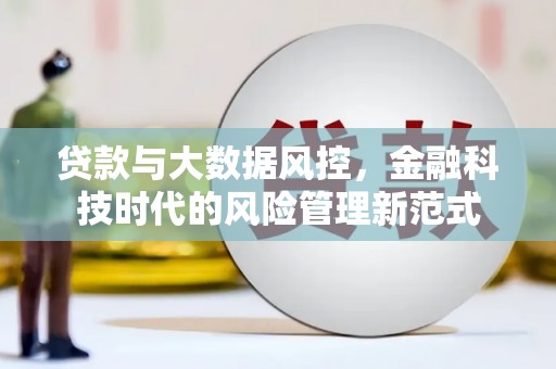 且末贷款与大数据风控，金融科技时代的风险管理新范式