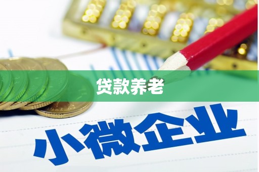 且末贷款养老