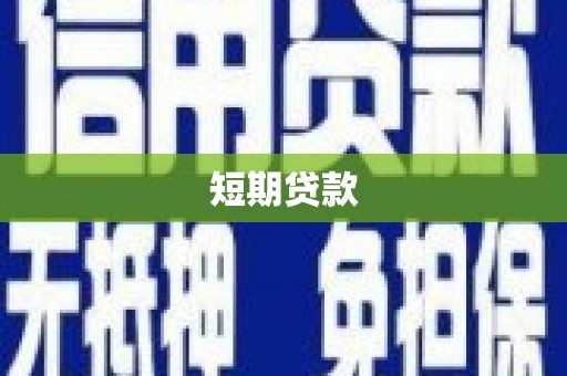 且末短期贷款