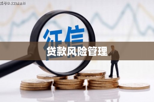 且末贷款风险管理