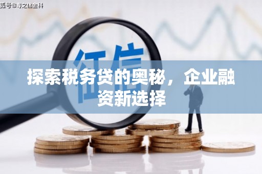 且末探索税务贷的奥秘，企业融资新选择