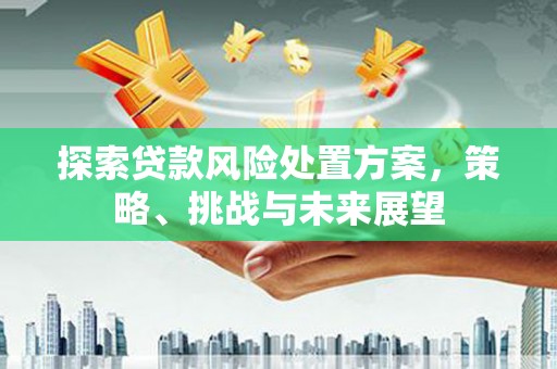 且末探索贷款风险处置方案，策略、挑战与未来展望