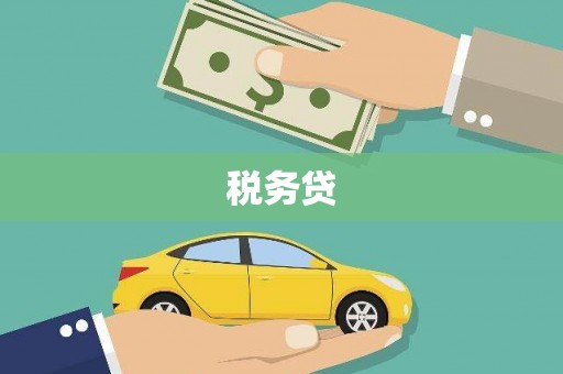 且末税务贷