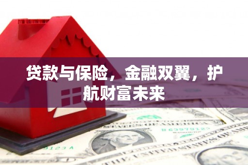 且末贷款与保险，金融双翼，护航财富未来