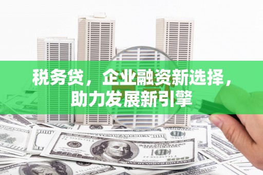 且末税务贷，企业融资新选择，助力发展新引擎