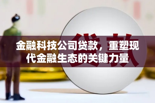 且末金融科技公司贷款，重塑现代金融生态的关键力量