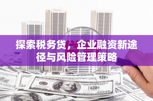 且末探索税务贷，企业融资新途径与风险管理策略