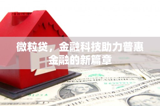 且末微粒贷，金融科技助力普惠金融的新篇章