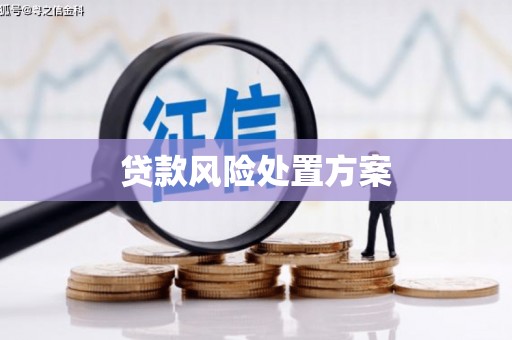 且末贷款风险处置方案