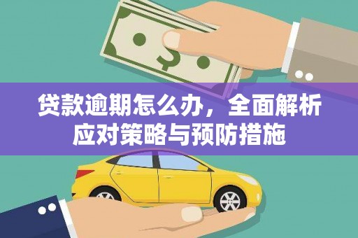 且末贷款逾期怎么办，全面解析应对策略与预防措施