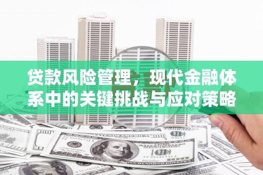 且末贷款风险管理，现代金融体系中的关键挑战与应对策略