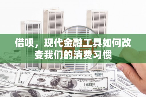 且末借呗，现代金融工具如何改变我们的消费习惯
