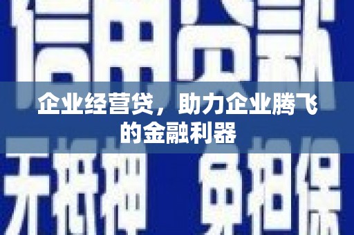 且末企业经营贷，助力企业腾飞的金融利器