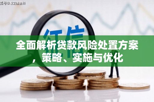 且末全面解析贷款风险处置方案，策略、实施与优化