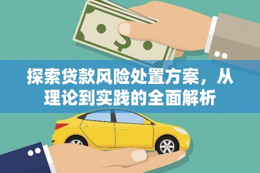 且末探索贷款风险处置方案，从理论到实践的全面解析