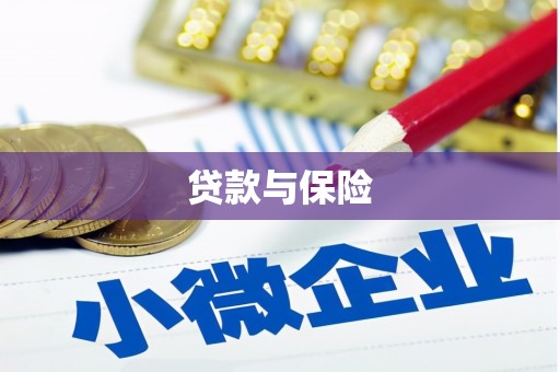 且末贷款与保险