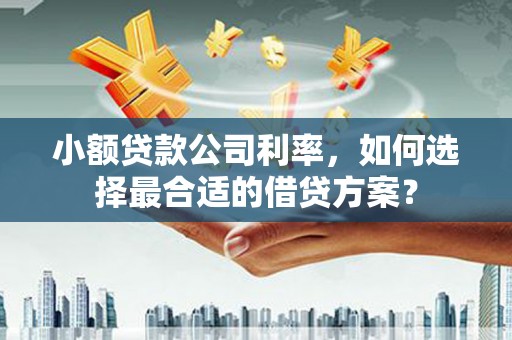 且末小额贷款公司利率，如何选择最合适的借贷方案？