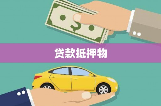 且末贷款抵押物