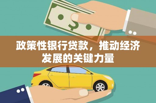 且末政策性银行贷款，推动经济发展的关键力量