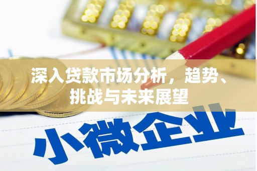 且末深入贷款市场分析，趋势、挑战与未来展望