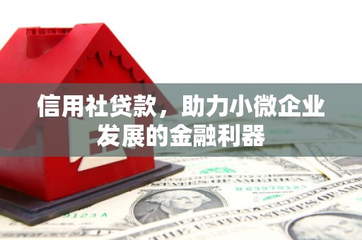 且末信用社贷款，助力小微企业发展的金融利器
