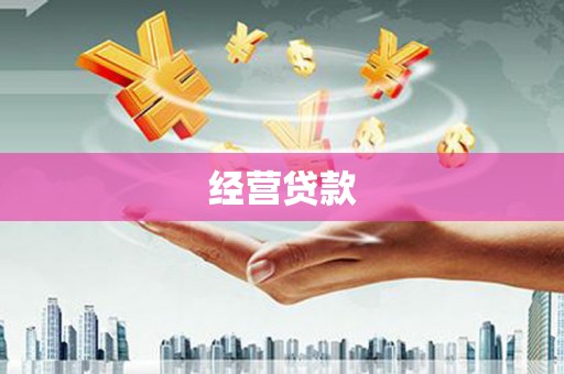 且末经营贷款