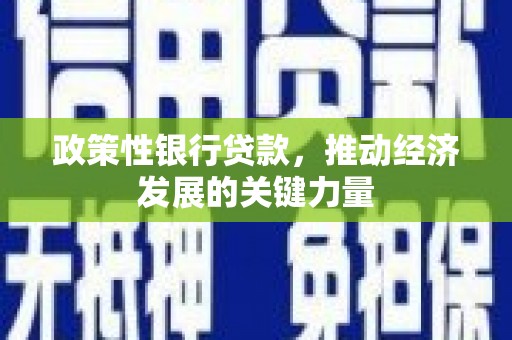且末政策性银行贷款，推动经济发展的关键力量