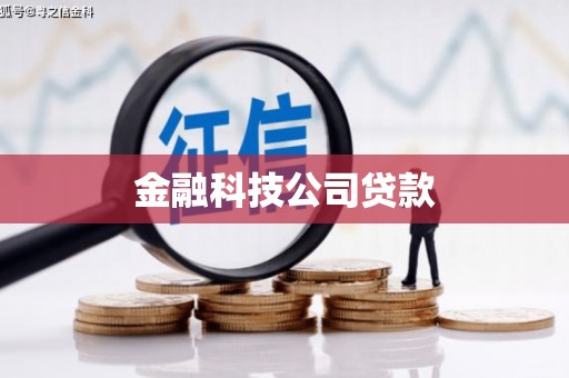 且末金融科技公司贷款