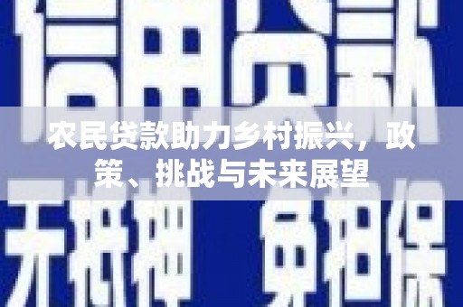 且末农民贷款助力乡村振兴，政策、挑战与未来展望