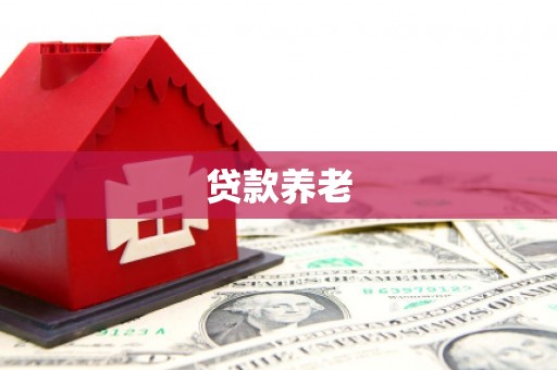 且末贷款养老