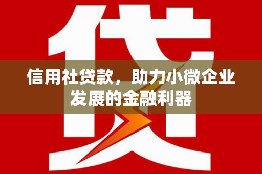 且末信用社贷款，助力小微企业发展的金融利器
