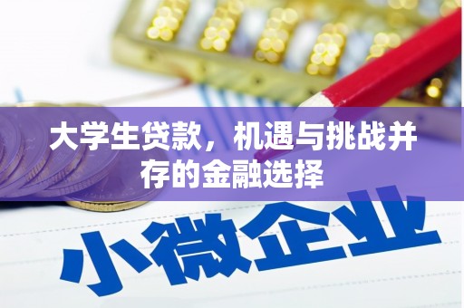 且末大学生贷款，机遇与挑战并存的金融选择