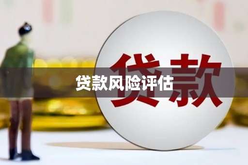 且末贷款风险评估
