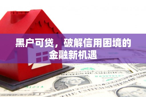 且末黑户可贷，破解信用困境的金融新机遇